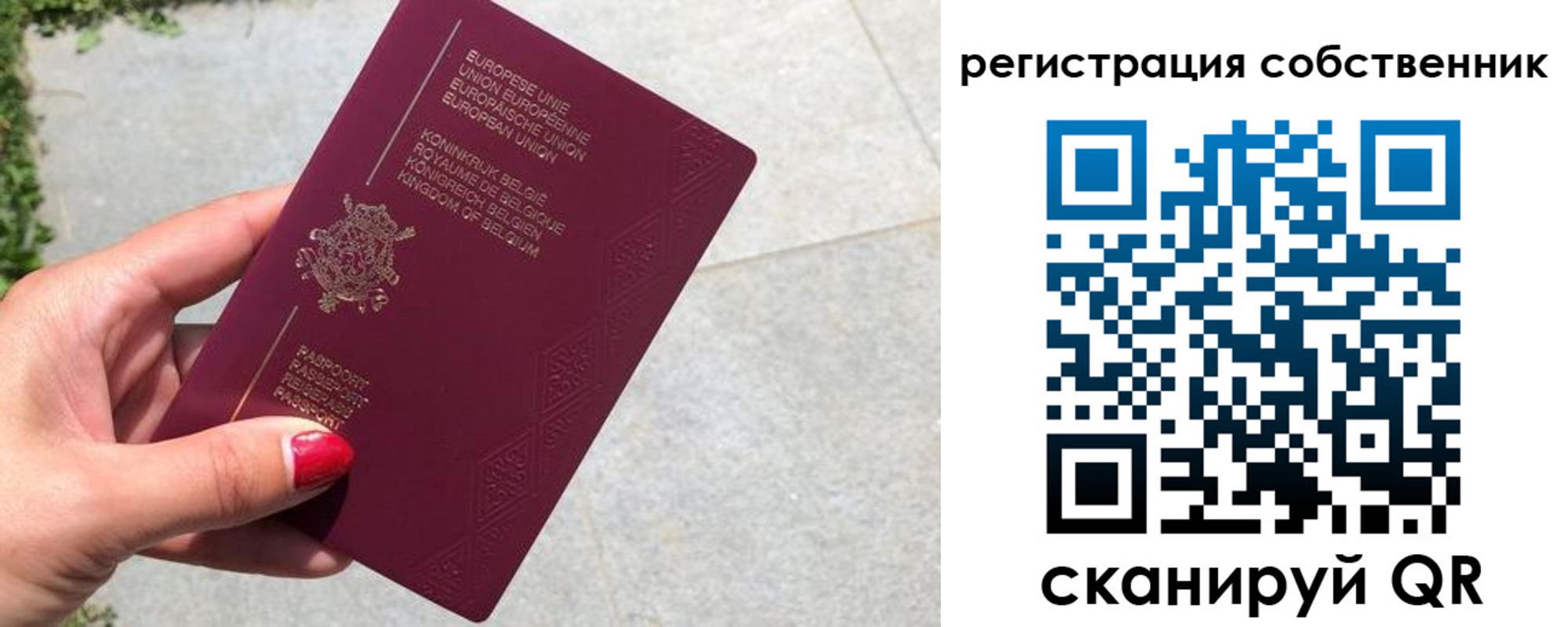 временная регистрация поиск в Снежинске